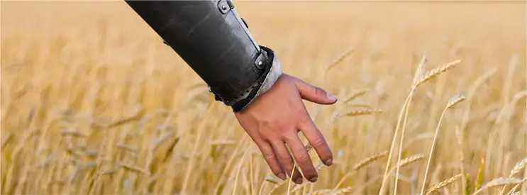 Nachhaltigkeit | Drachenhort