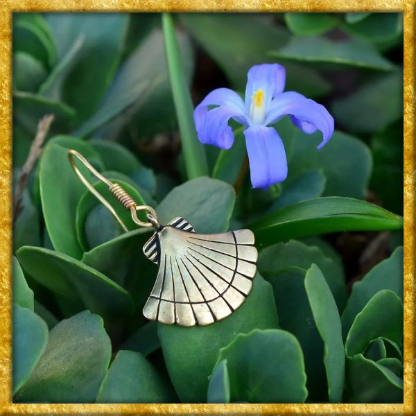 Ohrringe Muschel aus Bronze