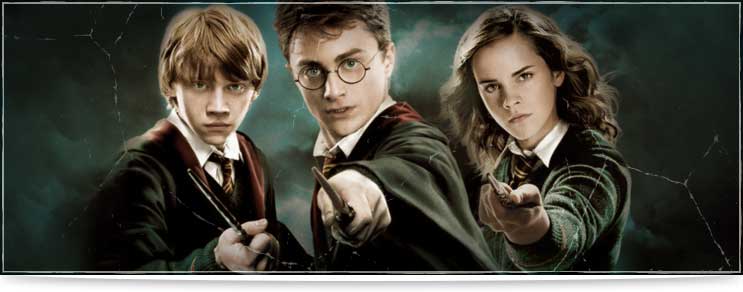 Harry Potter Zauberstäbe & Stöcke Shop | Drachenhort