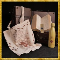 Harry Potter - Karte des Rumtreibers Set