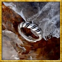 Wikingerring Foremal - Silber