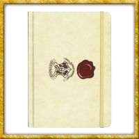 Harry Potter - Hardcover Notizbuch Brief 21cm