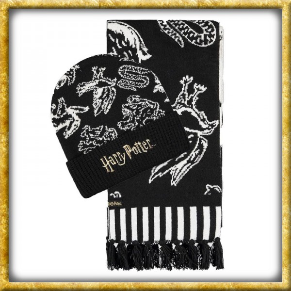 Harry Potter - Set Mütze & Schal Hogwarts Häuser