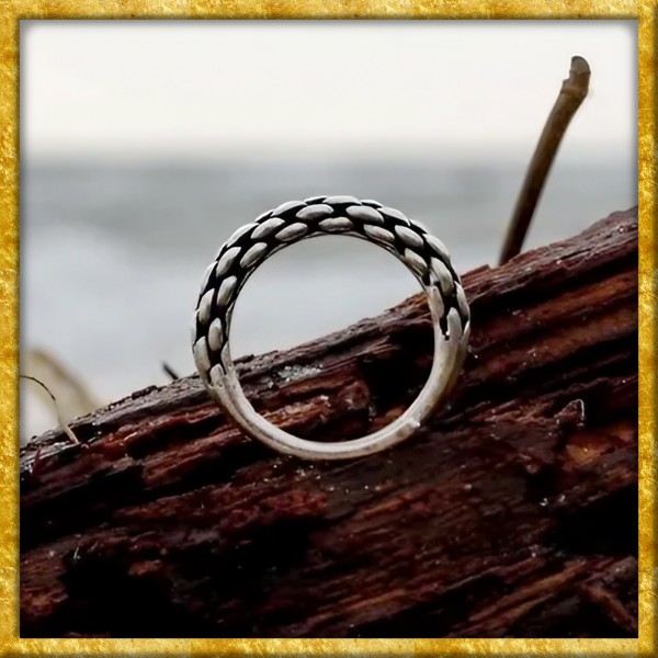 Wikingerring Chain - Silber