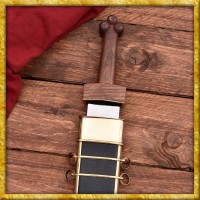 Republikanisches Gladius aus Delos mit Scheide