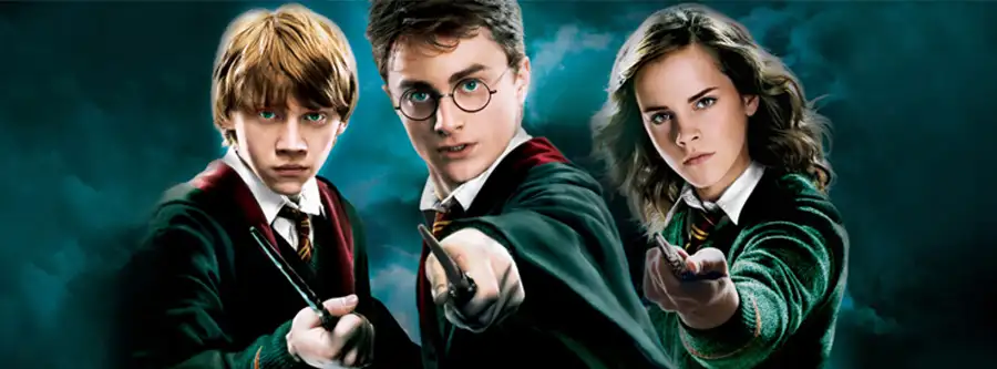 Harry Potter Zauberstäbe & Zauberstabhalter | Drachenhort